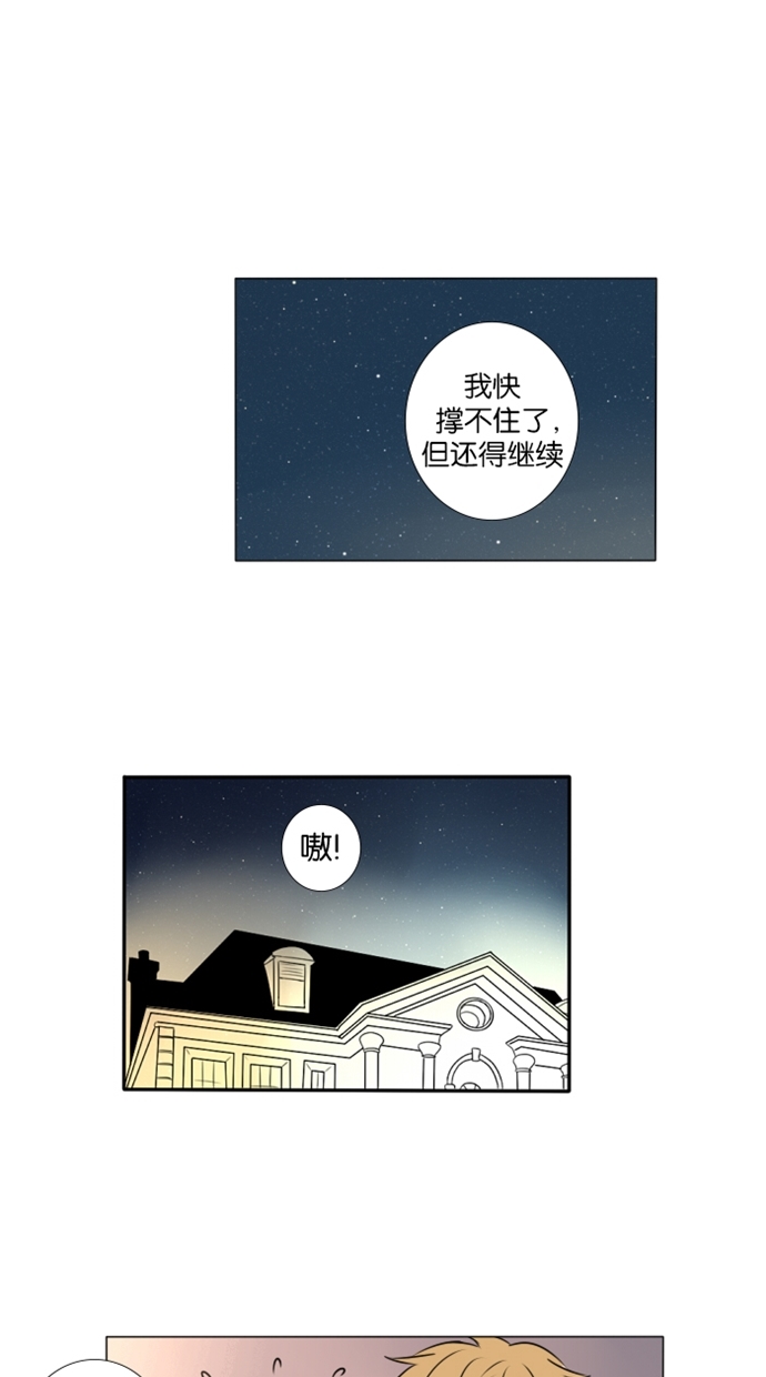 章节图片